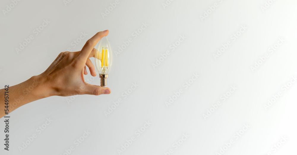 hand holding a light bulb. the birth of an idea. hand holding a light bulb. the birth of an idea.
