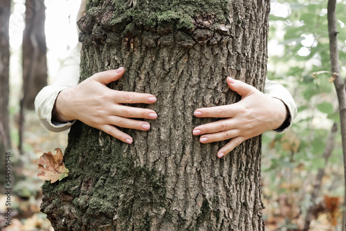 A nature lover hugs a tree trunk in the forest. Green natural background. The concept of people who love nature and protect it from deforestation, pollution or climate change
