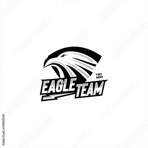 Eagle mascot esport logo design vector