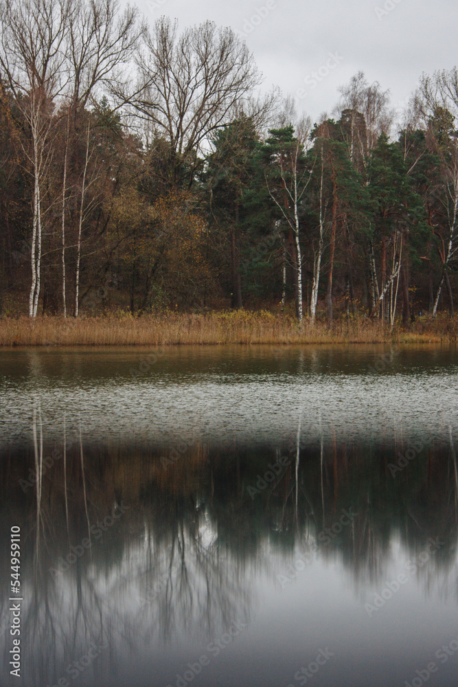 Beautiful landscape with lake and green pine forest on cloudy autumn day. Beautiful landscape with lake and green pine forest on cloudy autumn day.