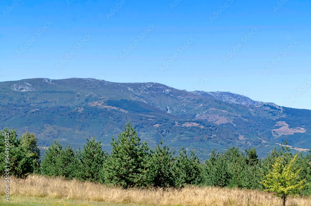 Beautiful landscape with autumn meadow and forest in Plana mountain against the background of Vitosha mountain, Bulgaria