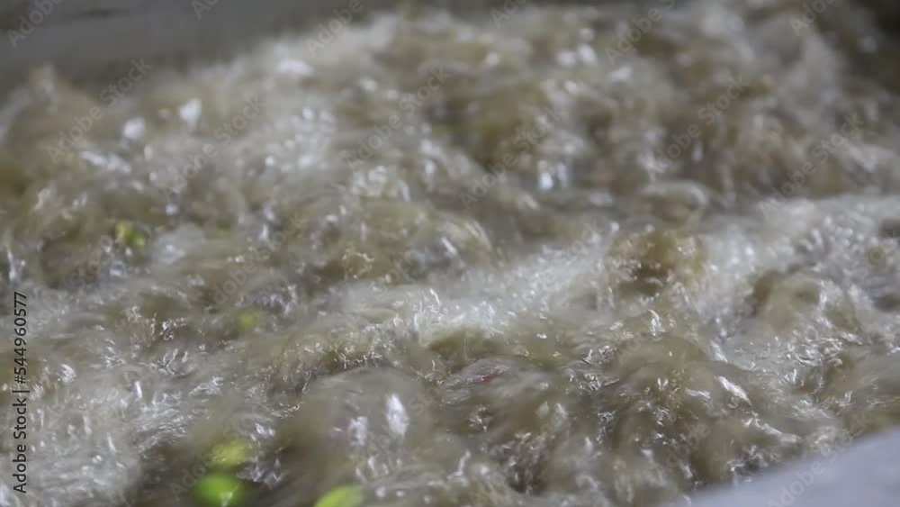 The process of olive cleaning and defoliation in a modern italian oil mill. Oil Production. Fresh extra virgin olive oil The process of olive cleaning and defoliation in a modern italian oil mill. Oil Production. Fresh extra virgin olive oil