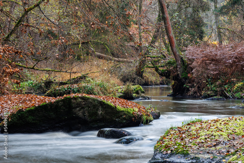 Idyllischer Flusslauf in Spätherbst, Waldnaabtal bei Falkenberg photo