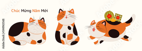 2023 Lunar New Year Tet cute cartoon cats collection, rice cakes, gold, Vietnamese text Happy New Year. Flat style vector illustration. Domestic animal, pet, isolated on white. Design element, clipart