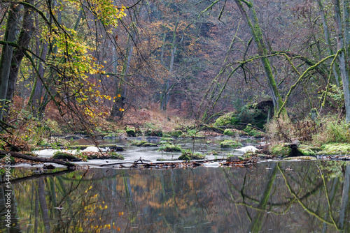 Fototapeta Naklejka Na Ścianę i Meble -  Idyllischer Flusslauf in Spätherbst, Waldnaabtal bei Falkenberg