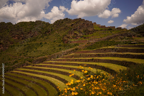 Fototapeta Inca terraces in Pisac Peru