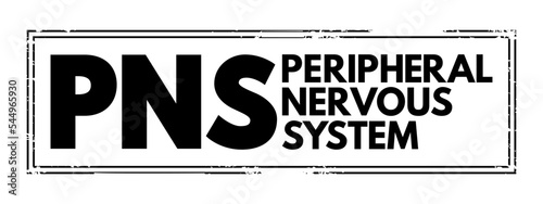PNS Peripheral Nervous System - responsible for relaying information between your body and brain, acronym text concept stamp