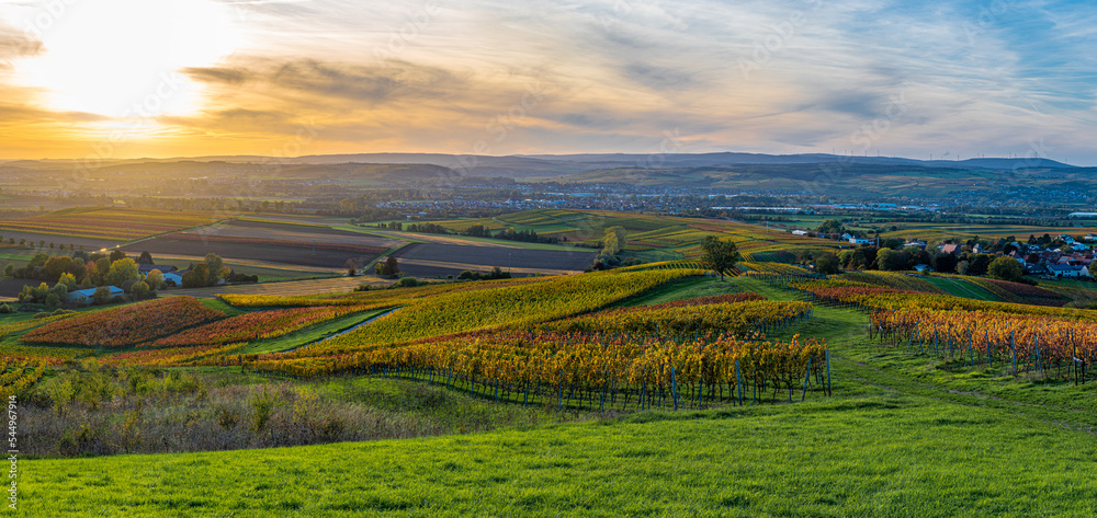 Rheinhessen - Panoramablick auf herbstliche Weinberge bei Sonnenuntergang