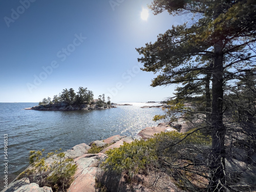 Trees growing on rock formations by seascape