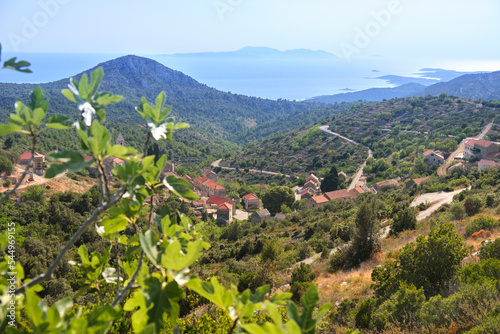 Velo Grablje, historic village on Hvar island in Croatia famous for lavender, vine and olive oil production. Aerial view from an old mountain road. Bird view on old stone houses. Fig tree on photo