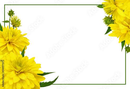 Yellow dissected rudbeckia ...