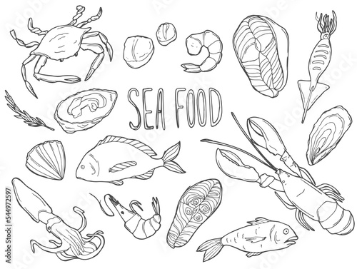 Hand drawn Seafood set. Decorative icons Squid, Octopus, salmon, oysters, scallops, lobster, red perch ,crab, shellfish and mussels. Vector illustration in old ink style