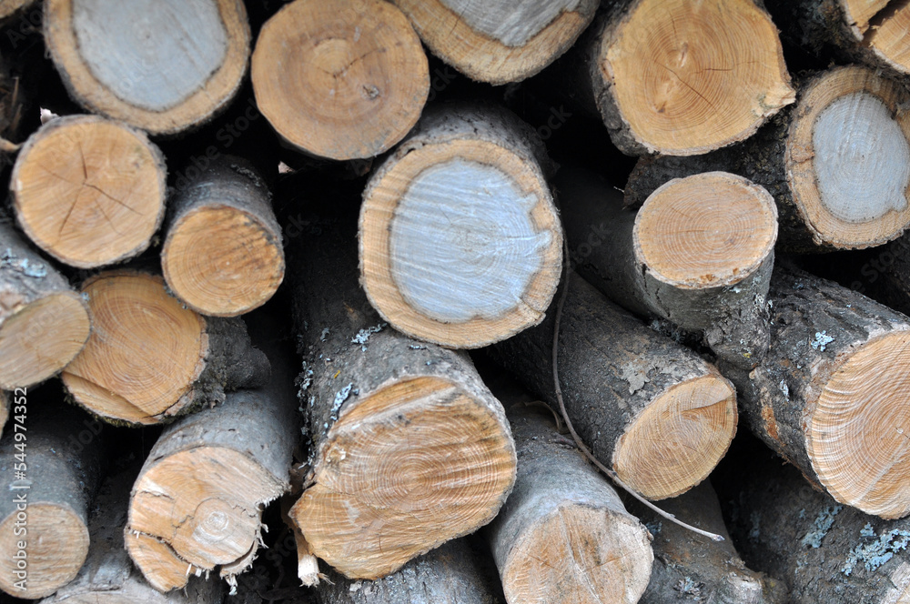 Parts of wood cut into firewood for space heating Parts of wood cut into firewood for space heating