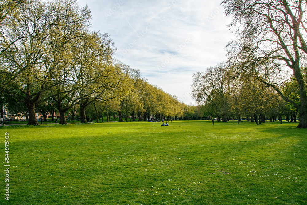 park in the park park in the park