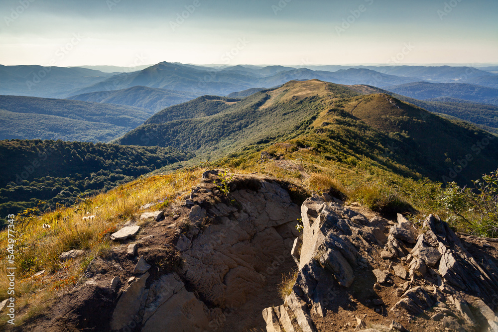 Letni krajobraz górski, Bieszczady, Polska