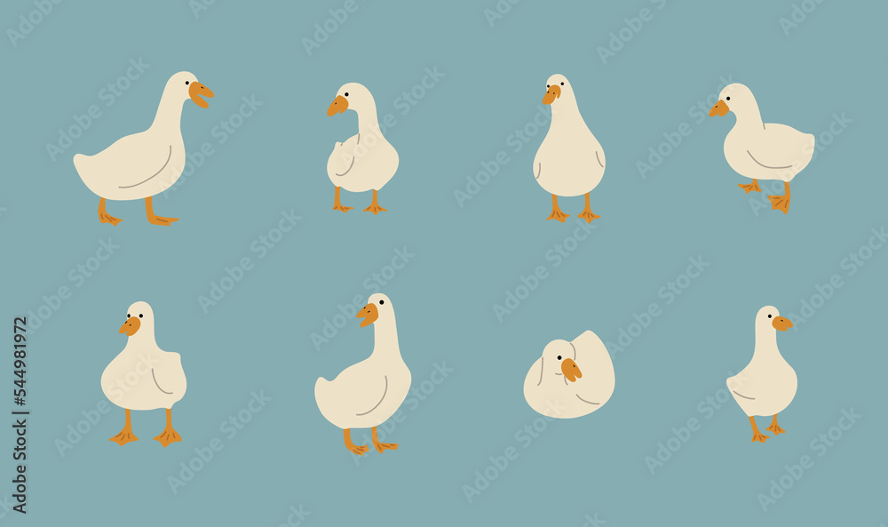 duck white 2 cute on a blue background, vector illustration