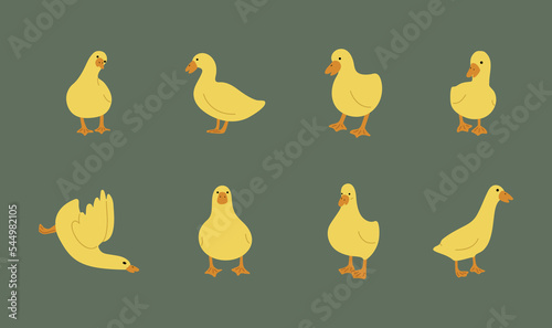 duck yellow 4 cute on a green background, vector illustration