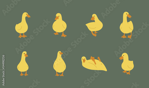 duck yellow 6 cute on a green background, vector illustration
