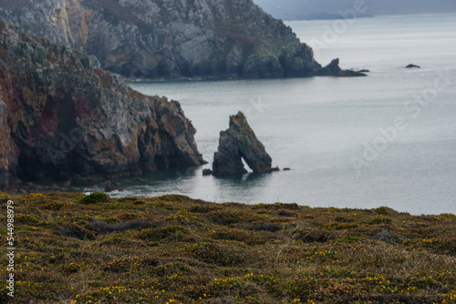 Rocky cliffs and granite rock with arch at the shore near Pointe de Pen-Hir with some heather in foreground, Crozon peninsula, Brittany, France