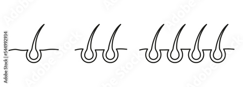 Hair Bulb Line Icon Set. Structure of Man or Woman Follicle Outline Icon. Hair Transplantation and Bulb for Science or Dermatology Icon. Editable Stroke. Isolated Vector Illustration