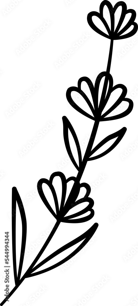 Hand drawn flower line art illustration