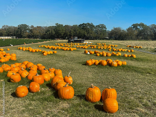 Fall in Marble Falls Texas