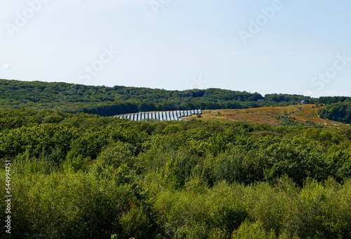solar panels in the middle of a forest