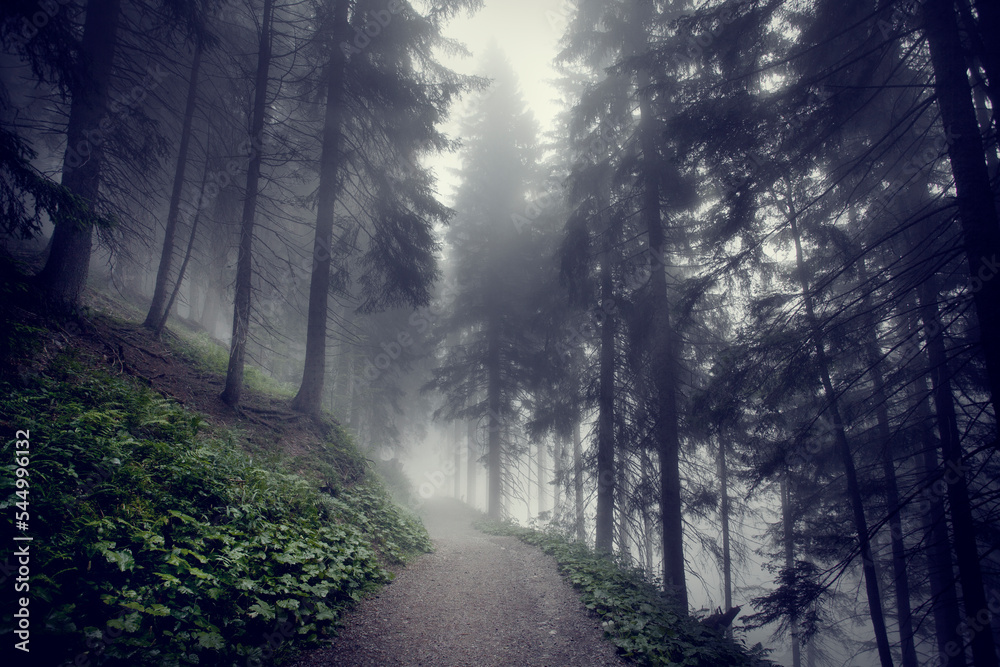 Obraz premium Allgäu