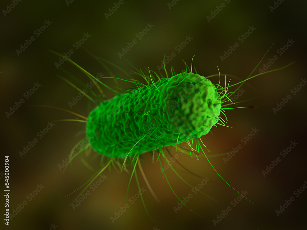 close up of 3d microscopic bacteria cells Escherichia Coli (E. Coli.) under microscope