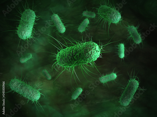 close up of 3d microscopic bacteria cells Escherichia Coli (E. Coli.) under microscope