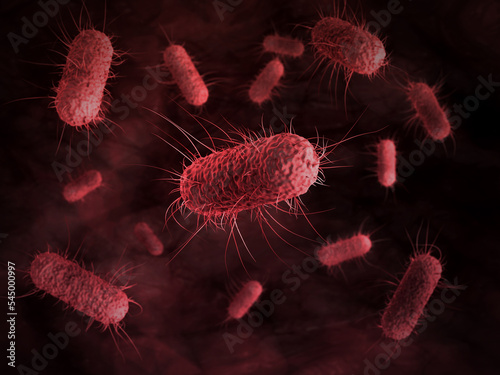 close up of 3d microscopic bacteria cells Escherichia Coli (E. Coli.) under microscope