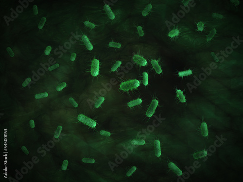 close up of 3d microscopic bacteria cells Escherichia Coli (E. Coli.) under microscope