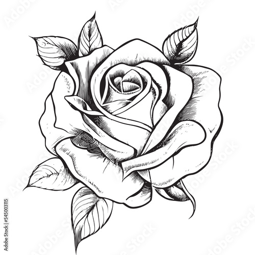Beautiful rose flower hand drawn sketch.Vector illustration.