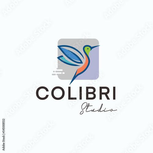 abstract colorful hummingbird vector line art, colibri wall art design, minimal bird line logo