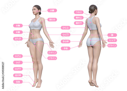 Obraz na płótnie 女性が気になる全身脱毛の施術部位のイラスト ナチュラルで可愛い日本人3Dモデルの全身ななめ正面と後ろ姿のセット w salonie