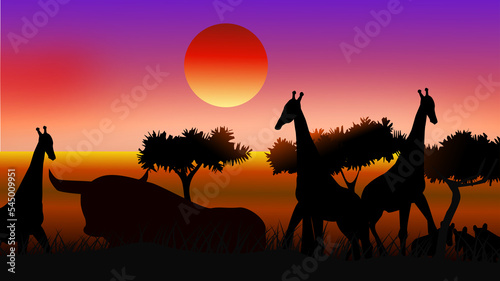 sunset in the wild african forest