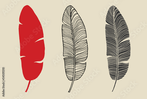 Vector silhouette drawing of banana palm leaves. Template for design. Line art botany collection.