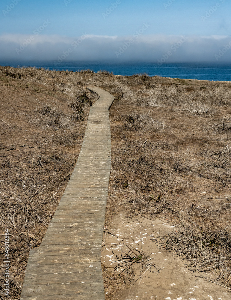 Narrow Boardwalk Crosses Dry Grasses On Anacapa Island