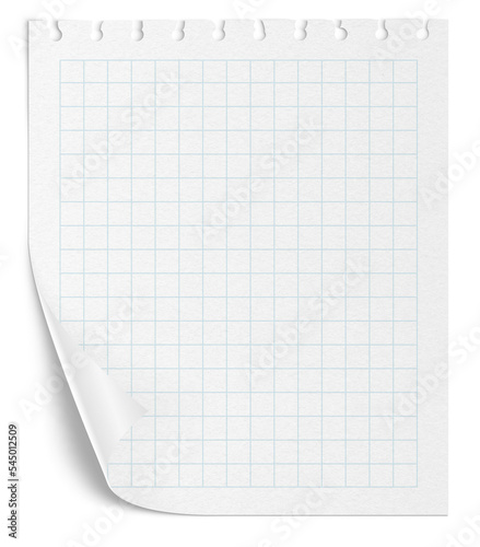 Checkered paper on a transparent background. White note pad paper.