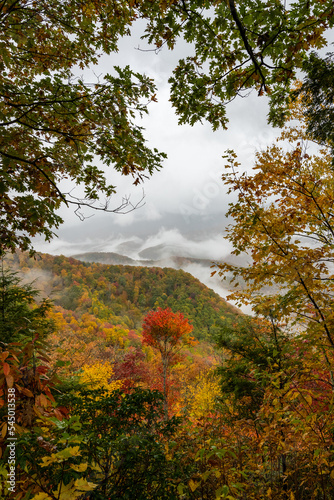 Peeking through Fall Colors to a Valley with Trees and Fog