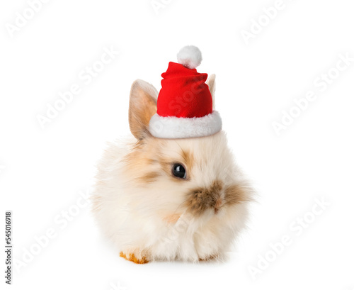 Cute bunny in Santa hat isolated on white