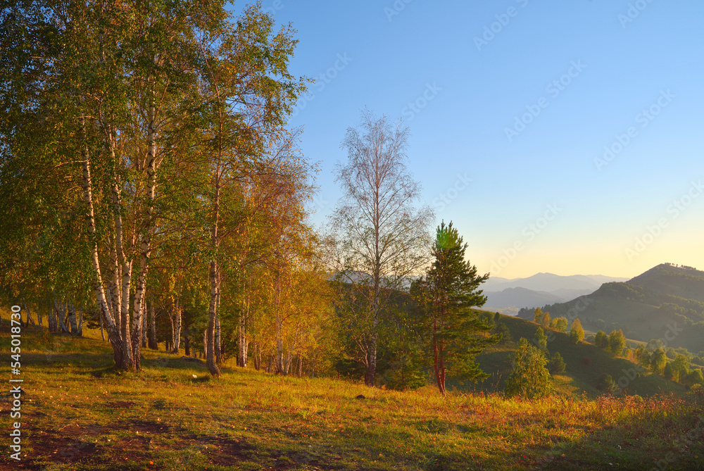 Fototapeta premium Aya Nature Park in the Altai Mountains