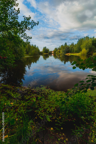 Clear autumn day at the forest lake