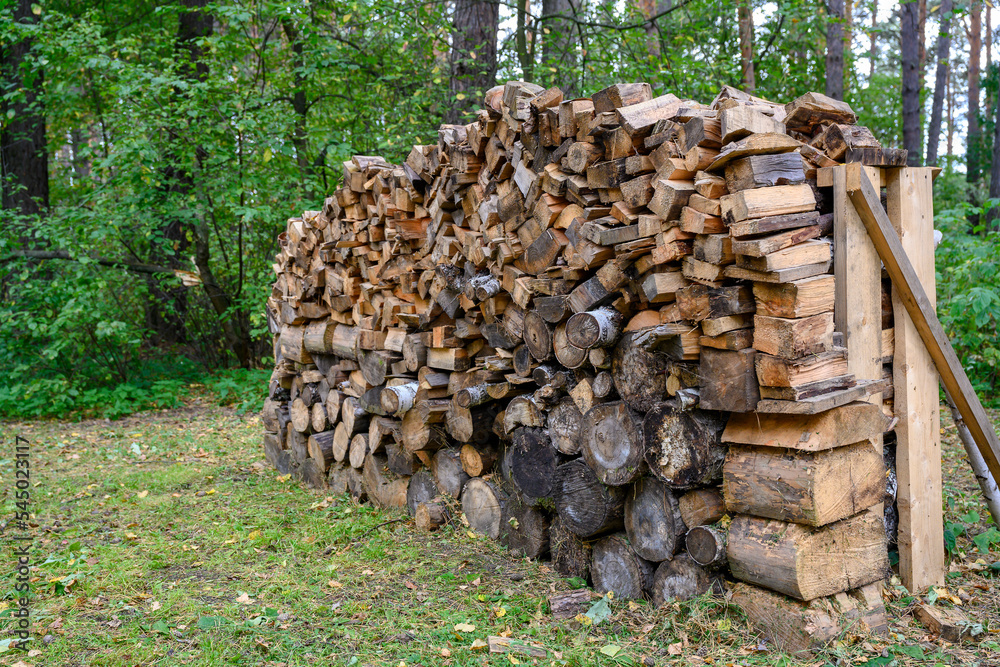 A woodpile of firewood in a clearing among trees in autumn