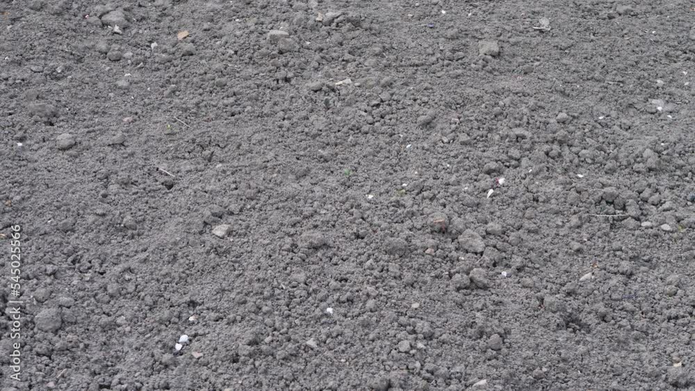 Black fertile ground for plant background. Bio soil substrate on agricultural field. Cultivate humus for growth plants Black fertile ground for plant background. Bio soil substrate on agricultural field. Cultivate humus for growth plants