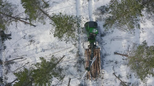 Machine collecting logs in pineforest in winter photo