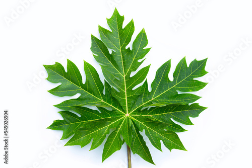 Papaya leaf on white background.