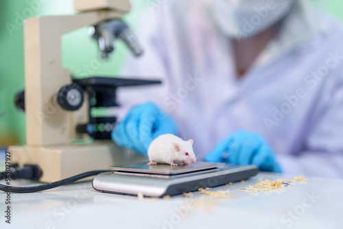 Modern Medical Research Laboratory  A medical research scientist examines mice in a laboratory and looks at tissue samples under a microscope  Advanced Scientific Lab for Medicine  Biotechnology.