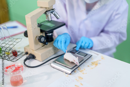Modern Medical Research Laboratory: A medical research scientist examines mice in a laboratory and looks at tissue samples under a microscope ,Advanced Scientific Lab for Medicine, Biotechnology.