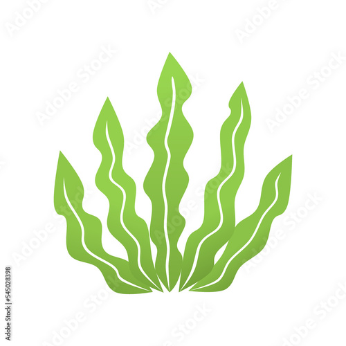Best Seaweed Icon Vector or Green Seaweed Icon Vector Isolated on White Background. best seaweed icon. Suitable for use as elements of the underwater world, especially for illustrations of seaweed.